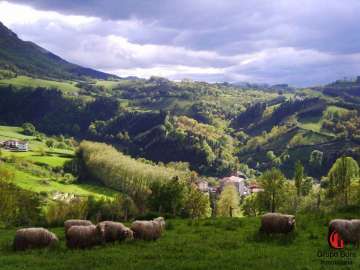 Vistas