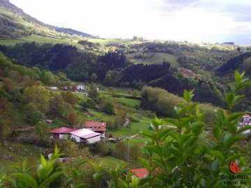 Vistas